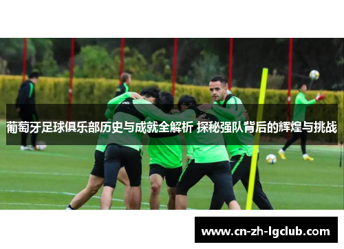 葡萄牙足球俱乐部历史与成就全解析 探秘强队背后的辉煌与挑战