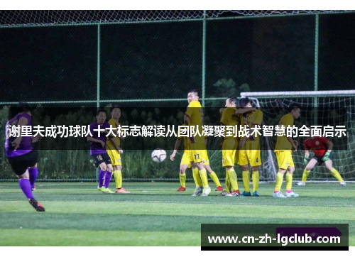 谢里夫成功球队十大标志解读从团队凝聚到战术智慧的全面启示