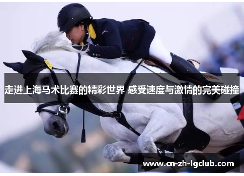 走进上海马术比赛的精彩世界 感受速度与激情的完美碰撞